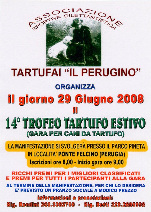 gara del 29 giugno 2008